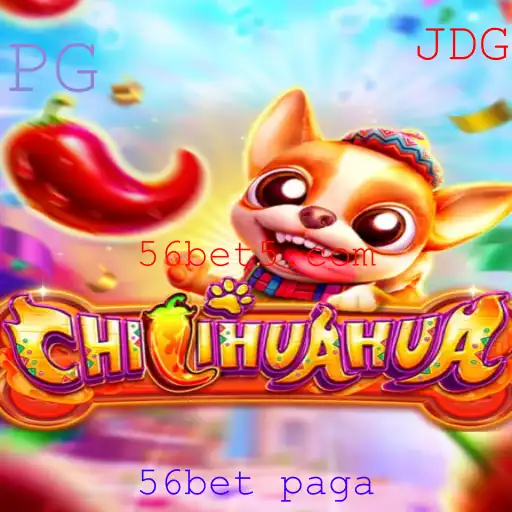 Descubra o Mundo Empolgante de 'CHILIHUAHUA'