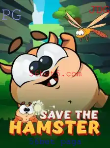 Tudo o que Você Precisa Saber sobre o Jogo SavetheHamster